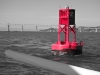 Buoy 2 headed to Petaluma